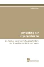 Simulation der Organperfusion