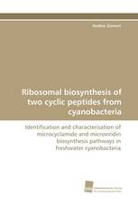 Ribosomal biosynthesis of two cyclic peptides from cyanobacteria