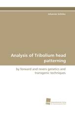 Analysis of Tribolium head patterning
