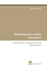 Modeling River Delta Formation