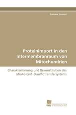 Proteinimport in den Intermembranraum von Mitochondrien