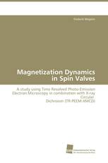 Magnetization Dynamics in Spin Valves