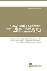 KLRG1 und E-Cadherin, mehr als nur Marker- und Adhäsionsmoleküle?