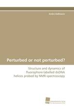 Perturbed or not perturbed?