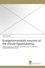 Energyhomeostatic neurons of the mouse hypothalamus