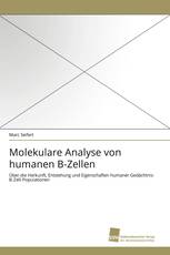 Molekulare Analyse von humanen B-Zellen