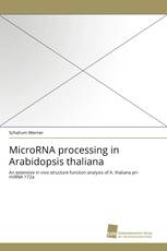 MicroRNA processing in Arabidopsis thaliana