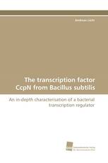 The transcription factor CcpN from Bacillus subtilis