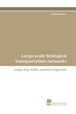 Large-scale biological transportation networks