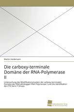 Die carboxy-terminale Domäne der RNA-Polymerase II