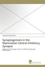 Synaptogenesis in the Mammalian Central Inhibitory Synapse