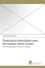 Theta-burst stimulation over the human motor cortex: