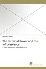 The terminal flower and the inflorescence