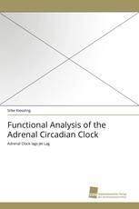 Functional Analysis of the Adrenal Circadian Clock