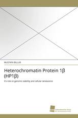 Heterochromatin Protein 1β (HP1β)