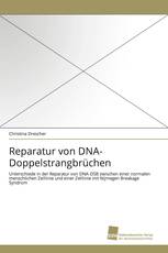 Reparatur von DNA-Doppelstrangbrüchen