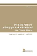 Die Rolle Kalzium-abhängiger Kaliumkanäle bei der Nierenfibrose