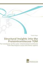 Structural Insights into the Proteintranslocase TOM