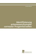 Identifizierung ectomesenchymaler cornealer Progenitorzellen