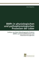 BMPs in physiologischen und pathophysiologischen Prozessen der Leber