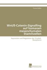 Wnt/ß-Catenin-Signalling auf humanen mesenchymalen Stammzellen