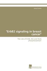 "ErbB2 signaling in breast cancer"