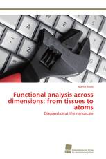 Functional analysis across dimensions: from tissues to atoms