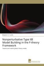 Nonperturbative Type IIB Model Building in the F-theory Framework
