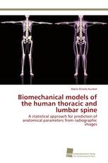 Biomechanical models of the human thoracic and lumbar spine