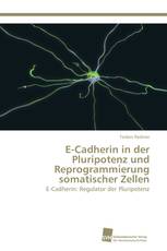 E-Cadherin in der Pluripotenz und Reprogrammierung somatischer Zellen