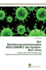 Der Membranproteinkomplex BDLF2/BMRF2 des Epstein-Barr Virus