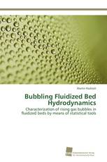 Bubbling Fluidized Bed Hydrodynamics