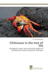Chitinases in the tree of life