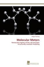 Molecular Motors