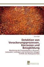 Detektion von Verockerungsprozessen, Korrosion und Belagbildung