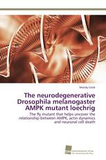 The neurodegenerative Drosophila melanogaster AMPK mutant loechrig