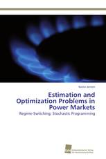 Estimation and Optimization Problems in Power Markets