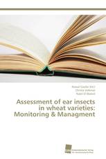 Assessment of ear insects in wheat varieties: Monitoring & Managment