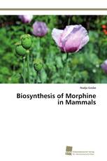 Biosynthesis of Morphine in Mammals