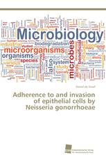 Adherence to and invasion of epithelial cells by Neisseria gonorrhoeae