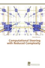 Computational Steering with Reduced Complexity