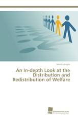 An In-depth Look at the Distribution and Redistribution of Welfare