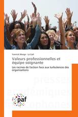 Valeurs professionnelles et équipe soignante