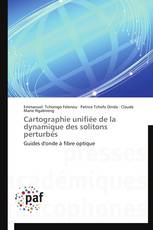 Cartographie unifiée de la dynamique des solitons perturbés