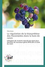 La régulation de la biosynthèse des flavonoïdes dans la baie de raisin