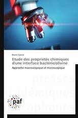 Etude des propriétés chimiques d'une interface bactérie/olivine