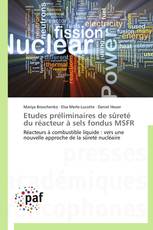 Etudes préliminaires de sûreté du réacteur à sels fondus MSFR