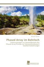 Phased Array im Bohrloch