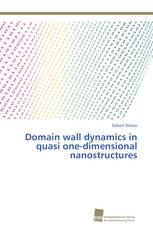 Domain wall dynamics in quasi one-dimensional nanostructures