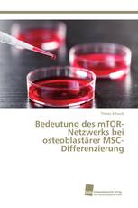 Bedeutung des mTOR-Netzwerks bei osteoblastärer MSC-Differenzierung